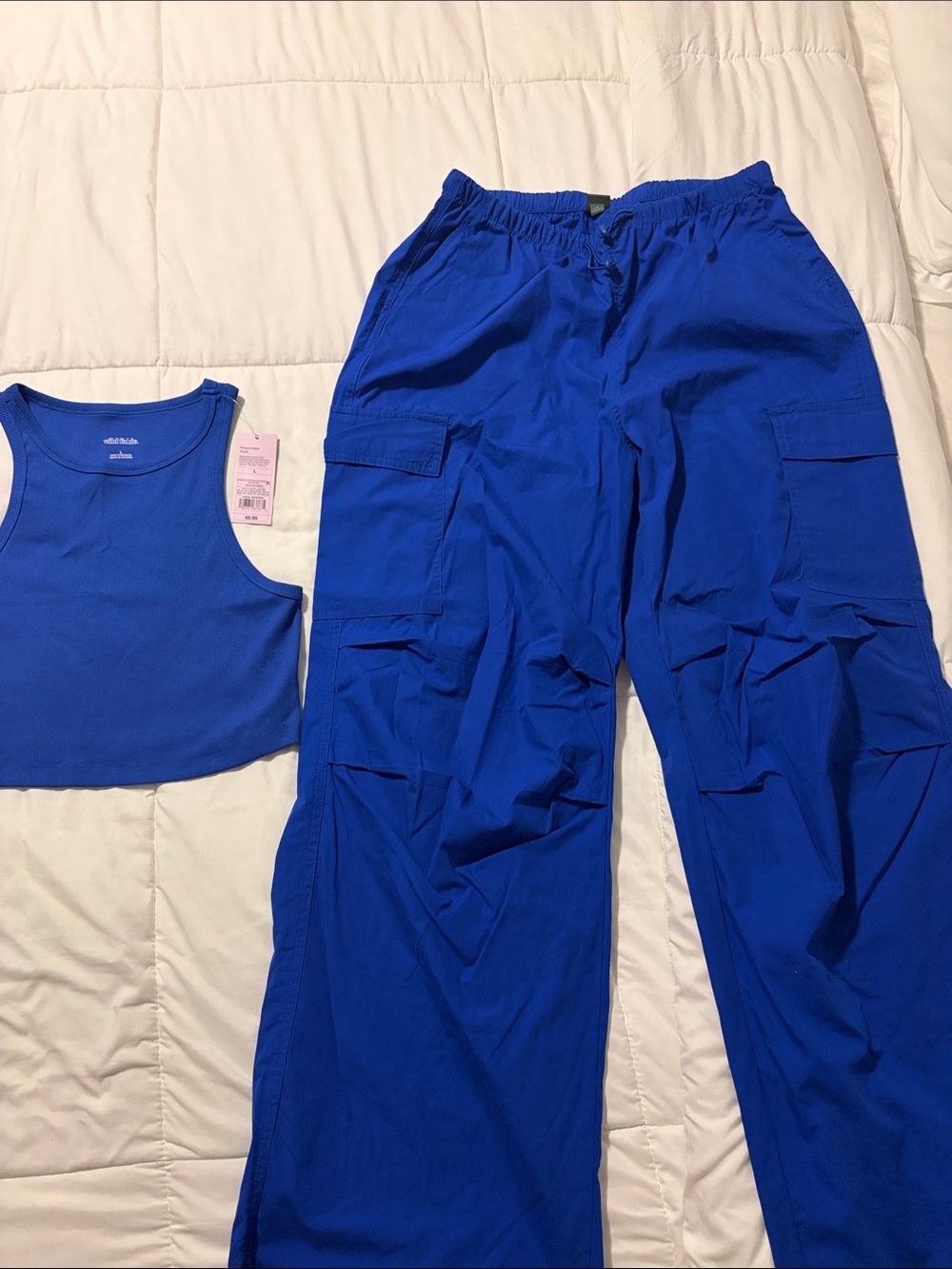 wild fable Royal Blue Cargo Jogger Pants